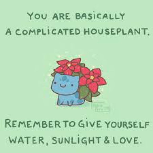 Meet your Posher, Violanda - Picture 6 of 7